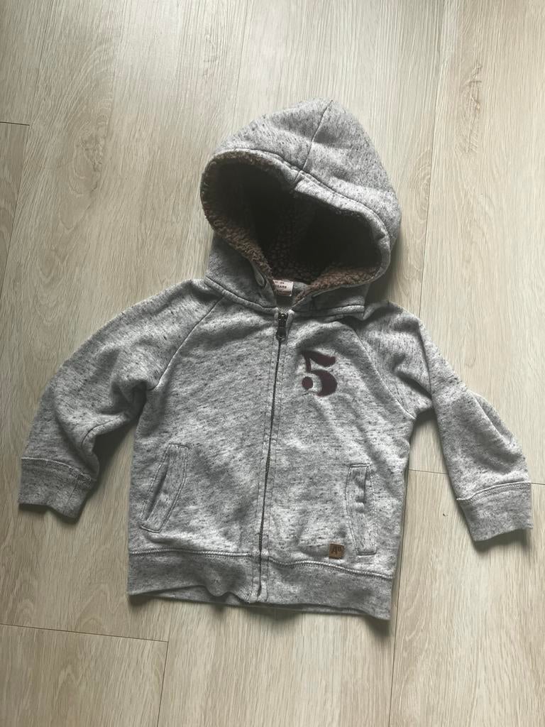 A0 trui met rits en kap teddy 92, Kinderen en Baby's, Kinderkleding | Maat 92, Ophalen of Verzenden, Zo goed als nieuw