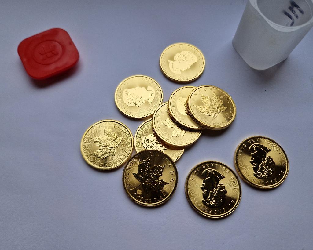 Maple Leaf 🪙🪙🪙 1 troy ounce gouden munt, Ophalen, Goud