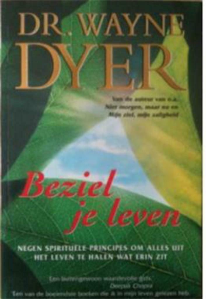 Beziel je leven, Dr. Wayne Dyer, Ophalen of Verzenden, Gelezen