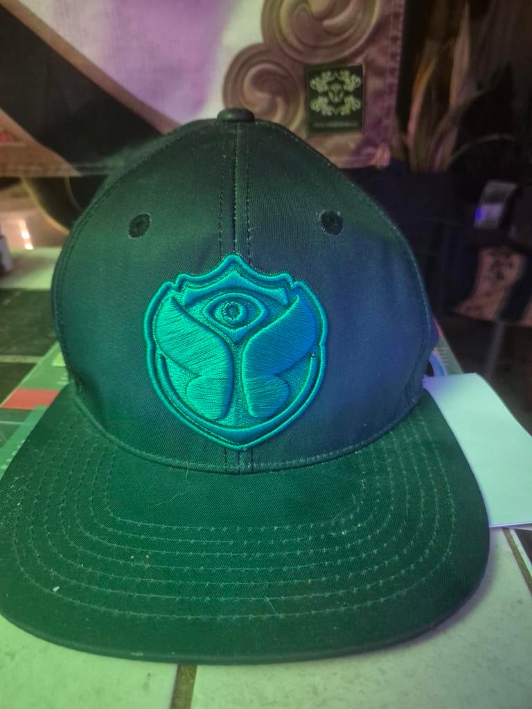 Tomorrowland pet, Ophalen