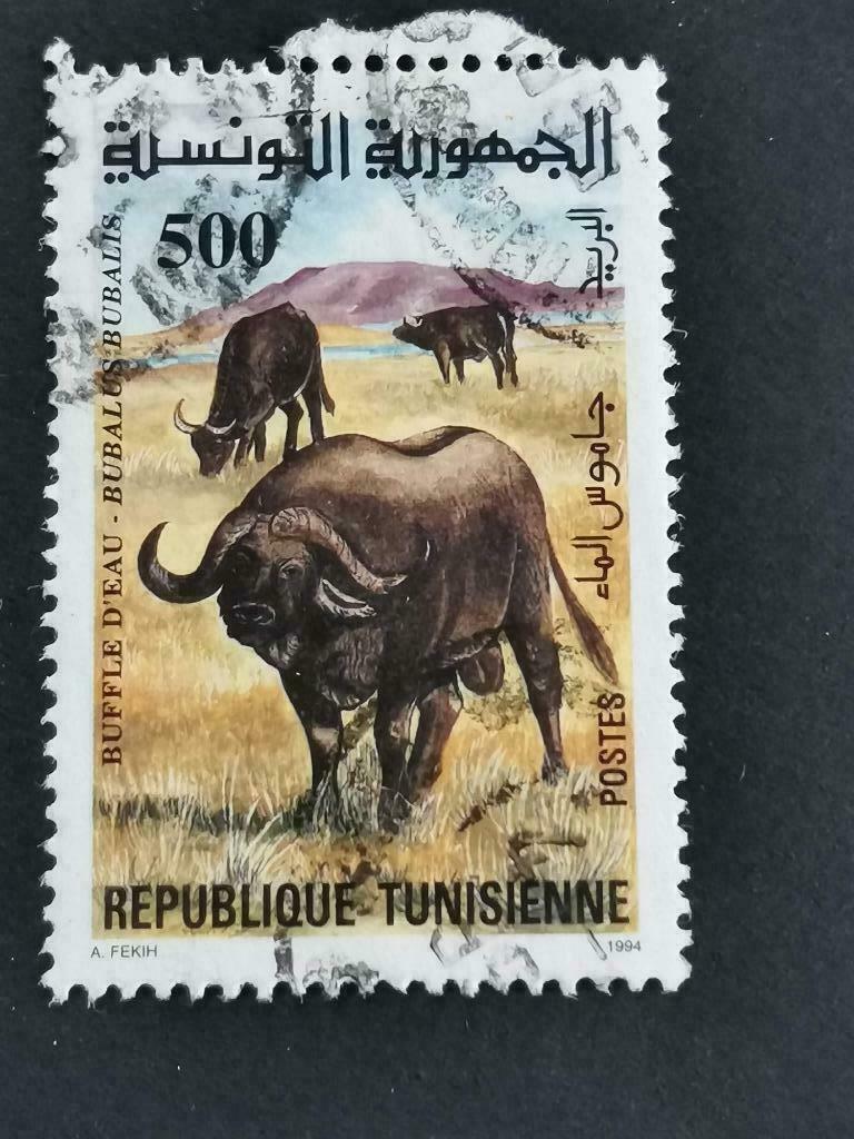 Tunesie 1994 - dieren - waterbuffel, Ophalen of Verzenden, Gestempeld, Dier of Natuur