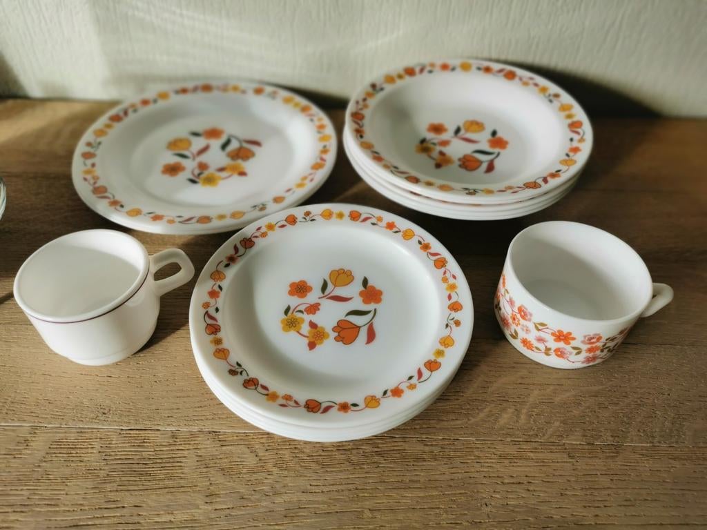 Arcopal servies Tulip, Ophalen of Verzenden, Zo goed als nieuw, Bord(en)