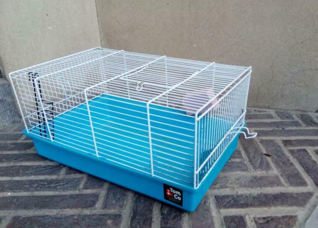 Cage Souris/rat/hamster, Enlèvement ou Envoi, Cage, Rat