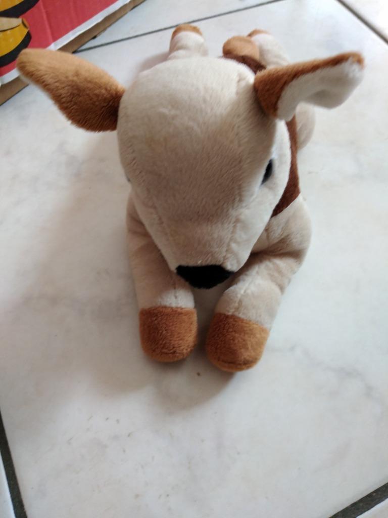 knuffel hert (doos 50), Ophalen of Verzenden, Nieuw