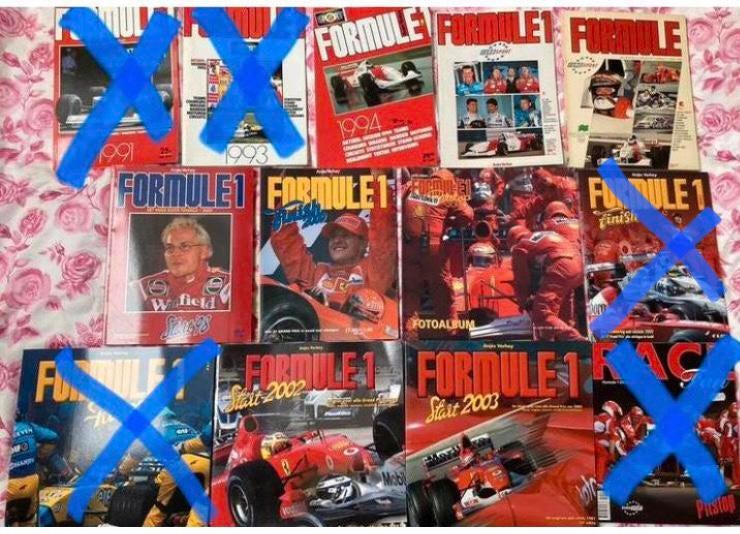 Formule 1 Racefan Anjes Verhey, Enlèvement ou Envoi, Comme neuf