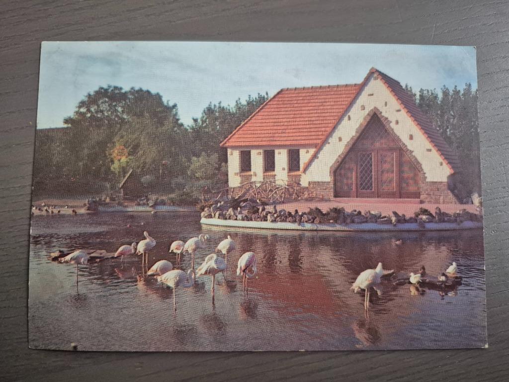 Meli Park postkaart "flamingo's", Verzamelen, Ophalen of Verzenden, Zo goed als nieuw