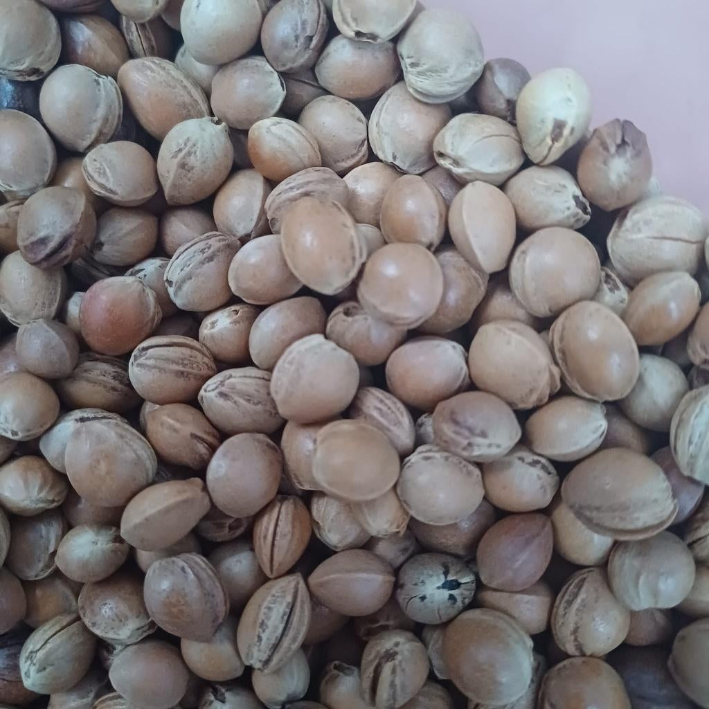 Kersenpitten - 1 kg, Ophalen
