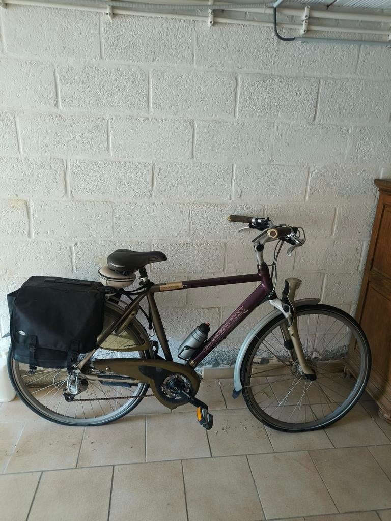 Vélo Batavus, Vélos & Vélomoteurs, Enlèvement, Batavus