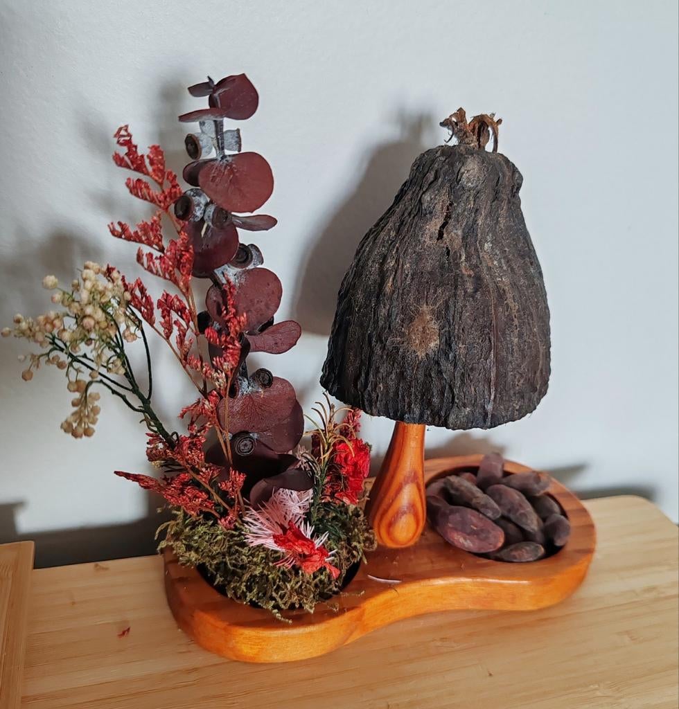 Unieke creatie van planten, Huis en Inrichting, Woonaccessoires | Droogbloemen, Ophalen of Verzenden, Zo goed als nieuw
