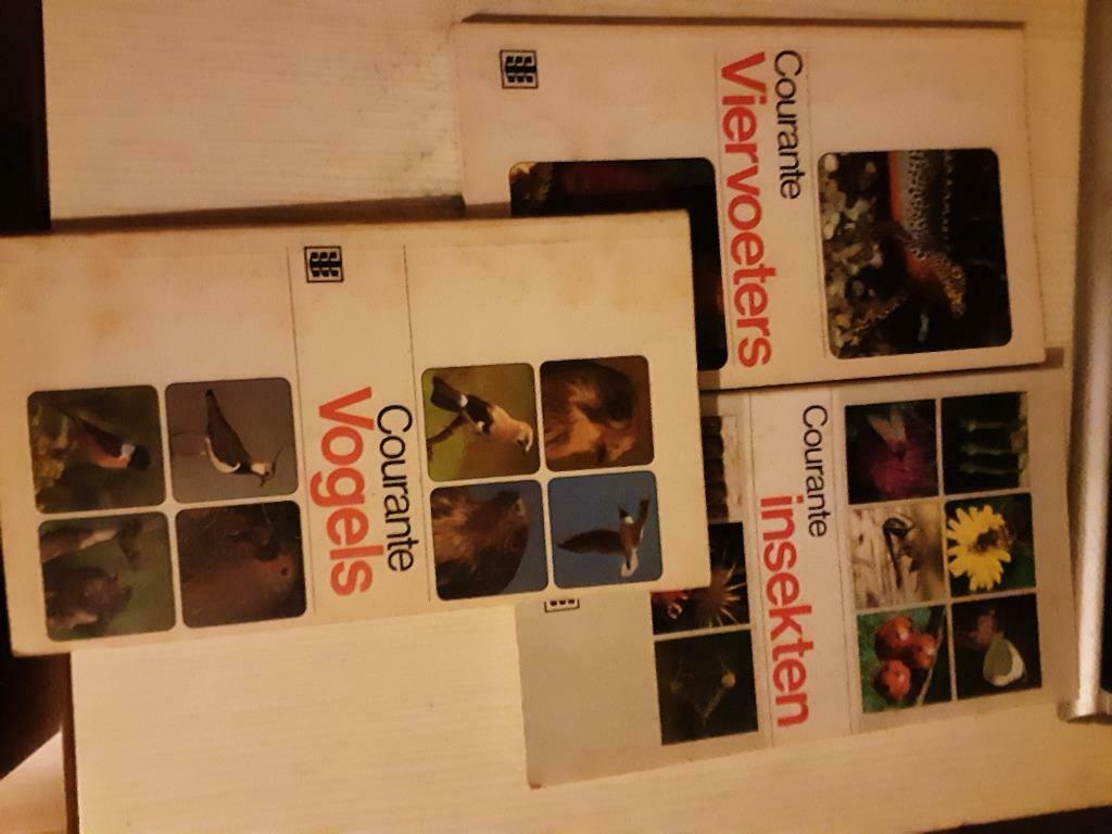 Boekjes cera, Ophalen, Gelezen