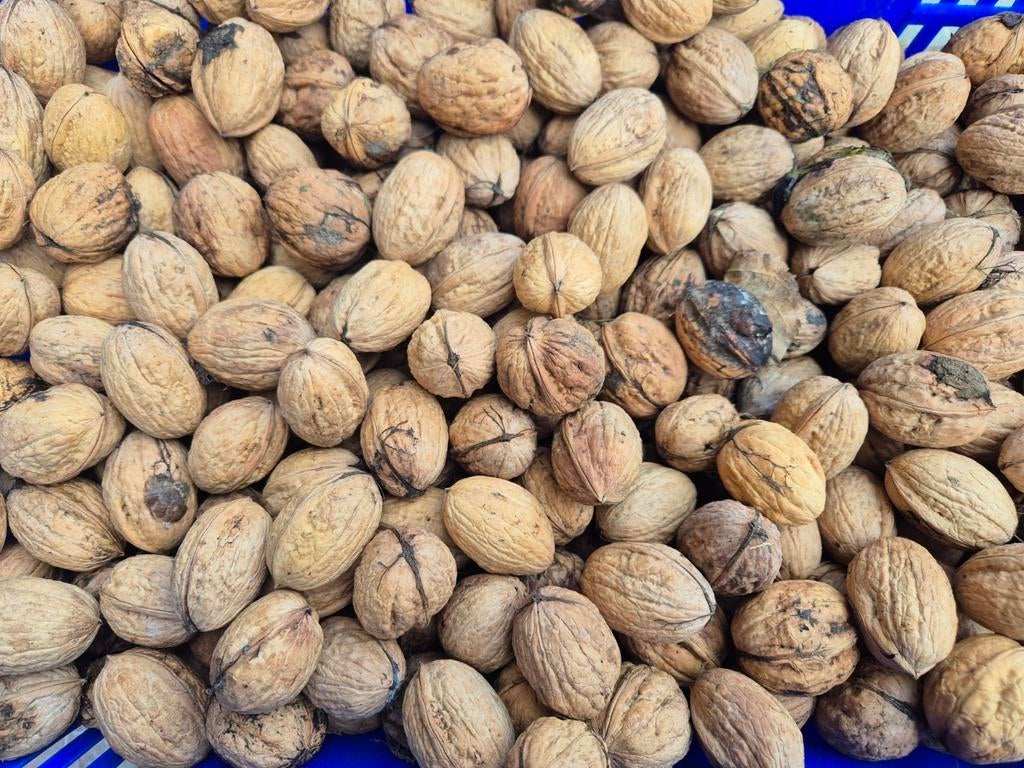 Noix fraîches à vendre, Divers, Enlèvement