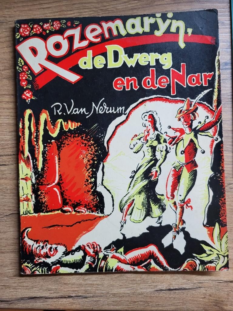 René Van Nerum - Rozemarijn, de Dwerg en de Nar, Ophalen of Verzenden, Gelezen