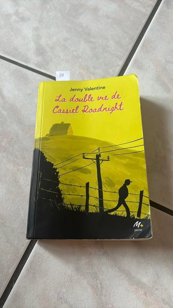 Livre La double vie de Cassiel Roadnight, Livres, Enlèvement ou Envoi, Comme neuf