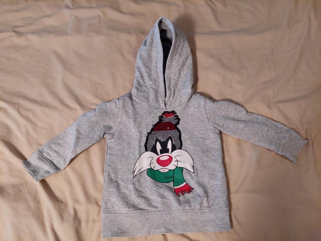 Pull capuche gris ZARA 5 ans, Kinderen en Baby's, Kinderkleding | Maat 110, Ophalen, Gebruikt, Jongen of Meisje, Trui of Vest
