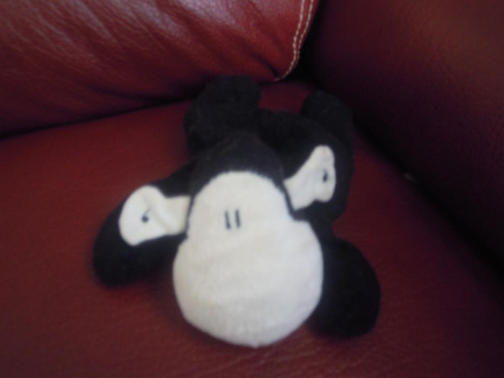 knuffel schaap sheepworld (doosjan2024), Ophalen of Verzenden, Nieuw