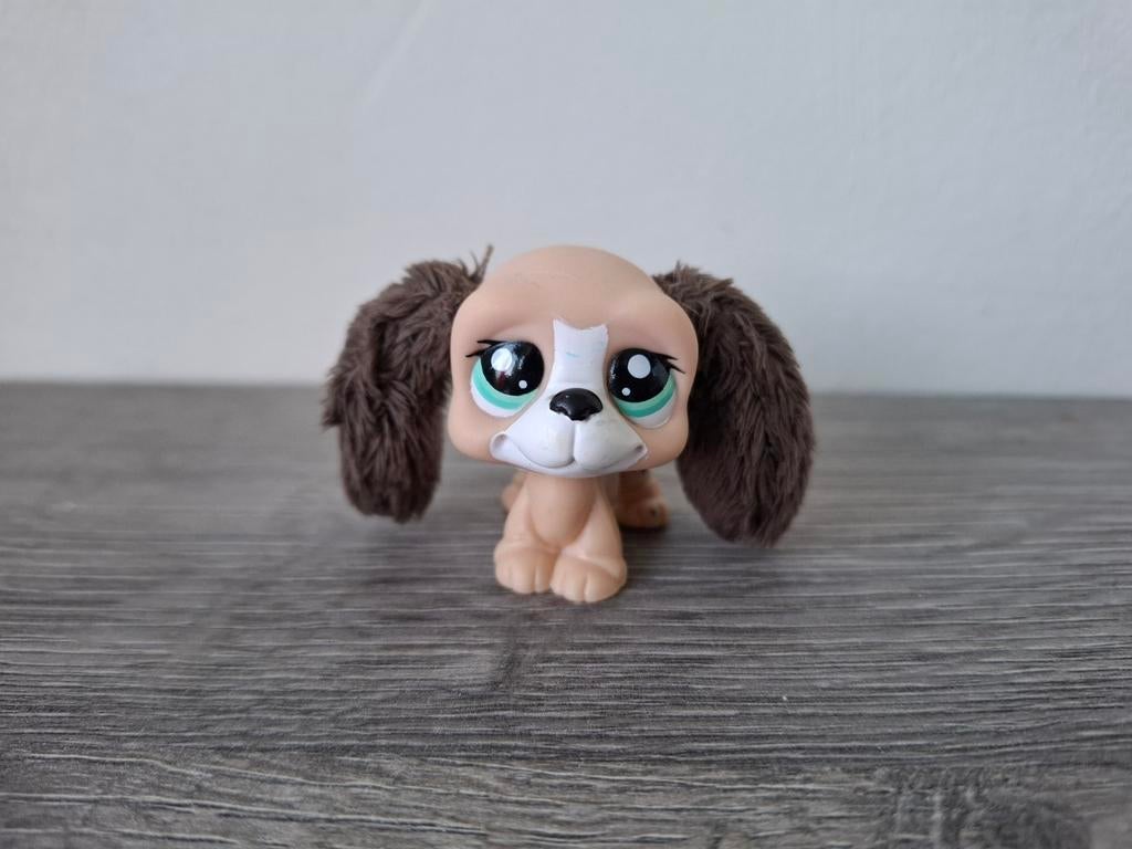 Littlest Pet Shop Basset #2413, Verzenden