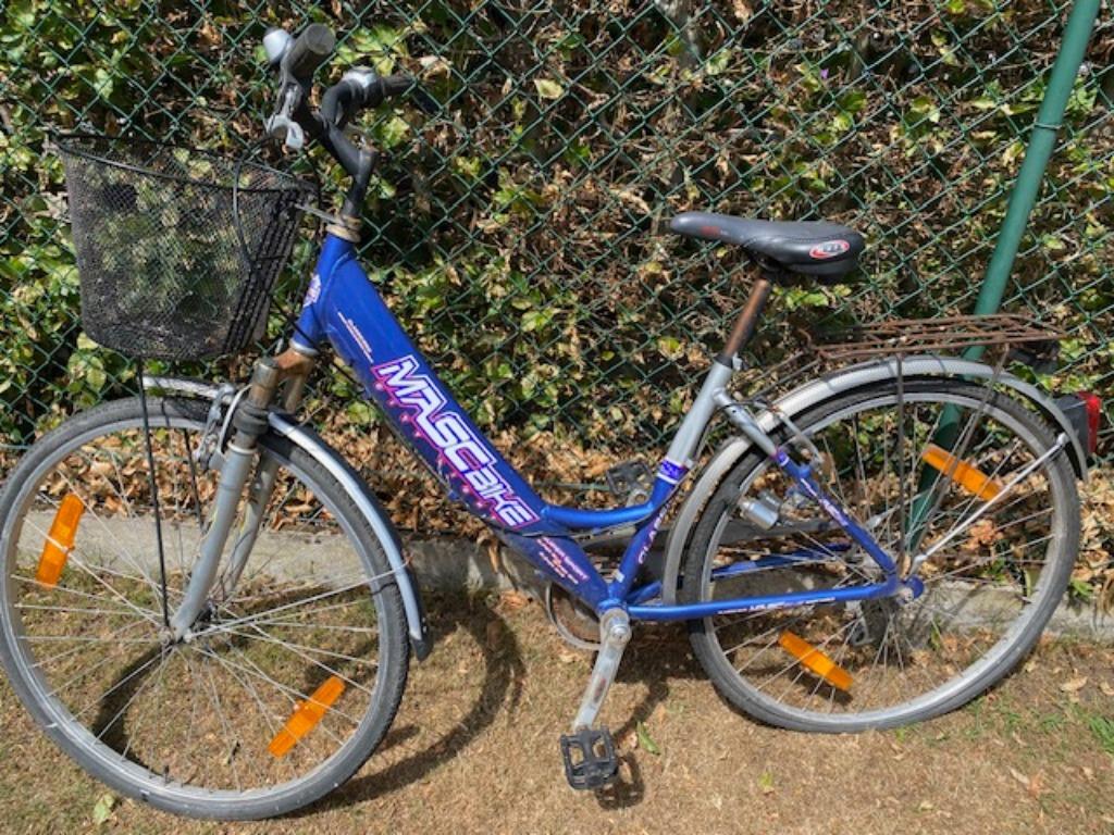 Damesfiets, 53 à 56 cm, Enlèvement, Utilisé, Autres marques