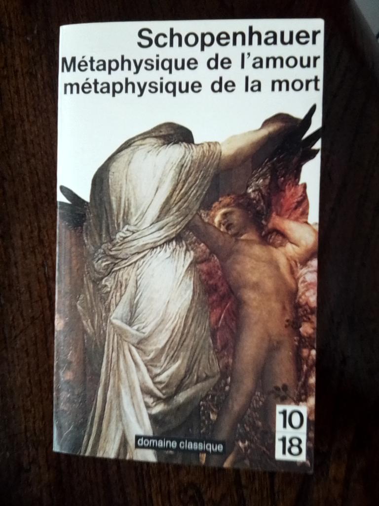 Livres de Schopenhauer et Roumajon, Boeken, Filosofie, Ophalen of Verzenden, Nieuw, Schopenhauer et Roumajon