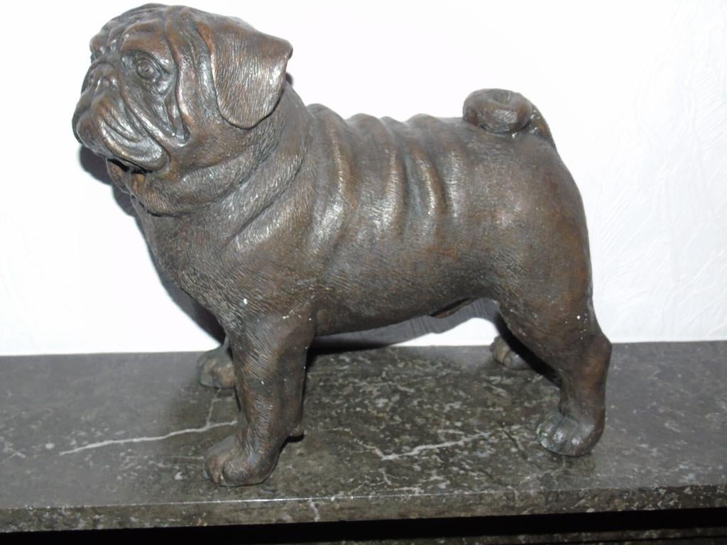 levensgrote bronzen hond! De mopshond, uitverkocht!, Ophalen of Verzenden, Brons