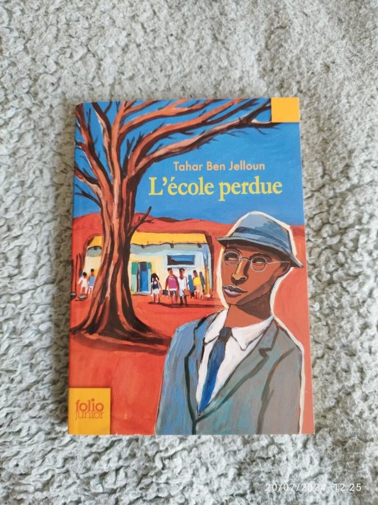 L'école perdue de TAHAR BEN JALLOUN folio junior, Livres, Enlèvement