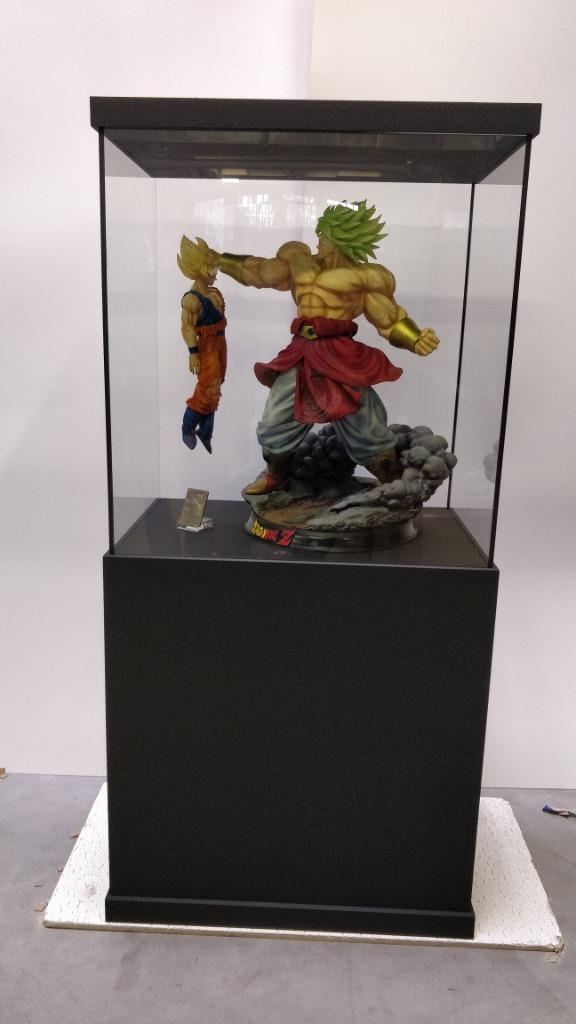 Vitrine sur mesure, Enlèvement, Neuf, Fantasy