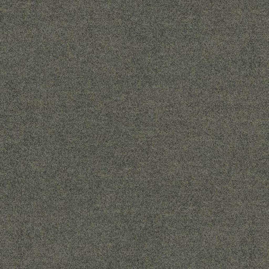 Zachte tapijttegels, Polichrome Mole tweede keus, Grijs, Nieuw, Minder dan 100 cm, 50 tot 100 cm