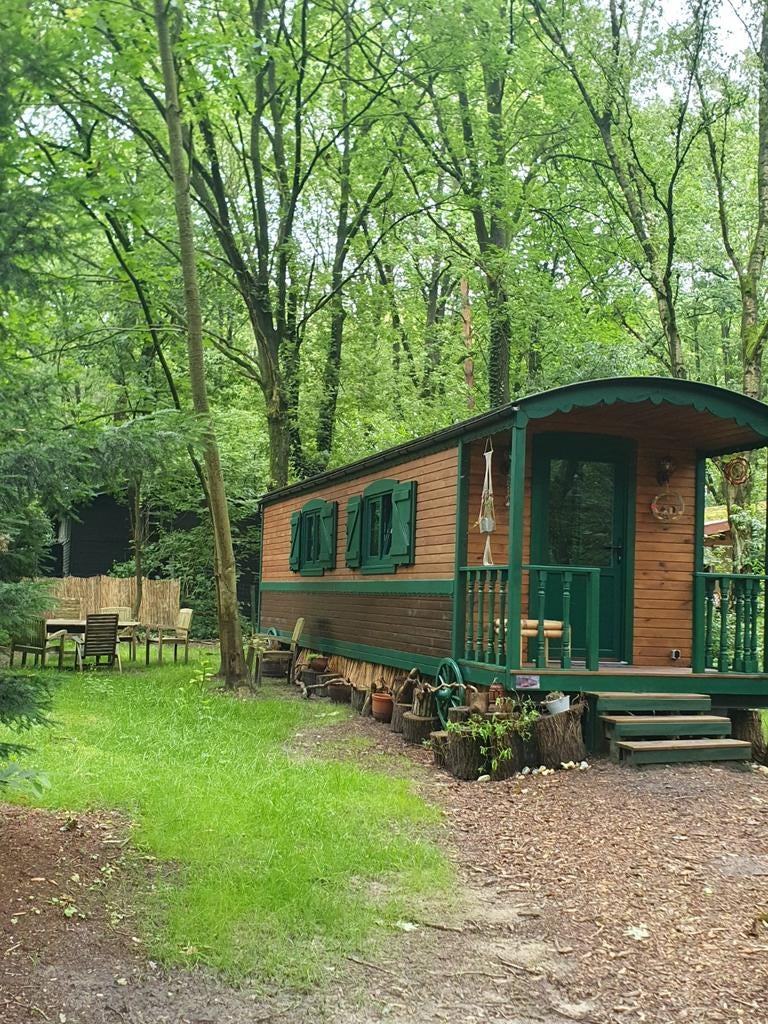Pipowagen in de natuur bij nationaal park hoge kempen, Internet, In bos, Limburg of Luik, Recreatiepark