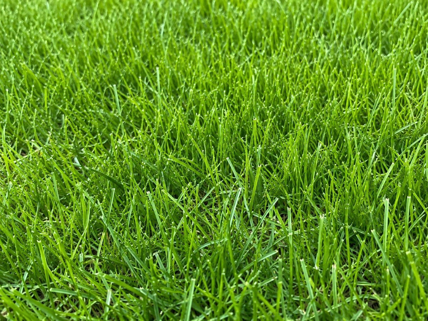 Tuinonderhoud, Ophalen