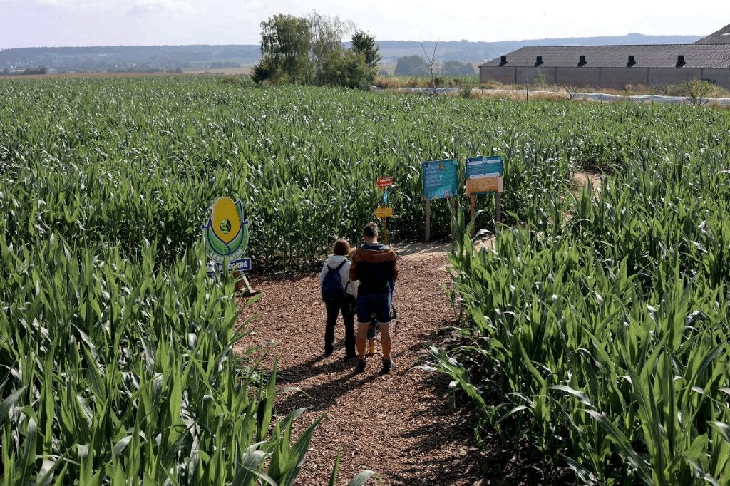 4 E-Tickets le Labyrinthe de Tarcienne