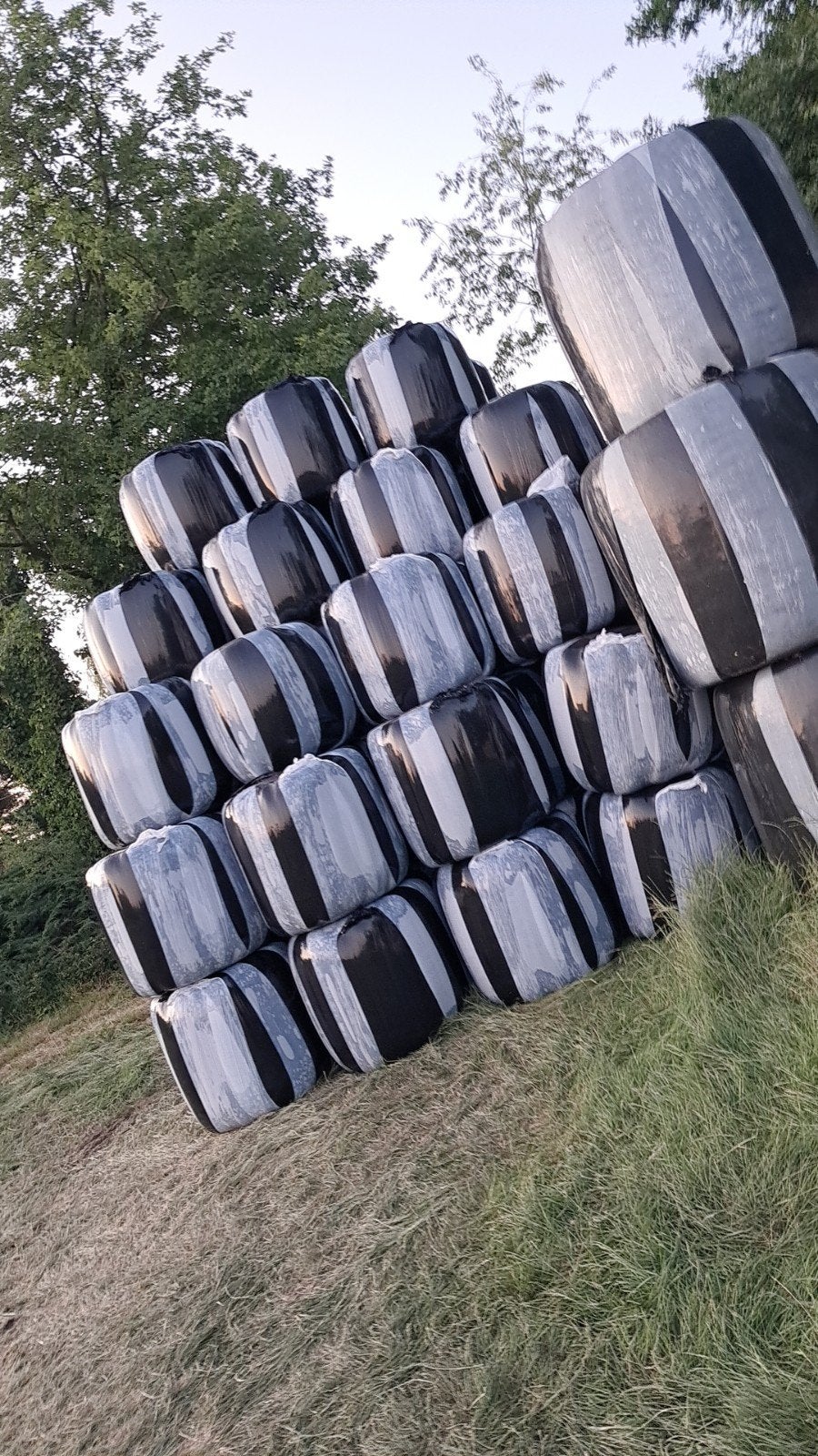 Minibalen hooi te koop – 1e snede 

Mooie hooibalen van, Zakelijke goederen, Ophalen