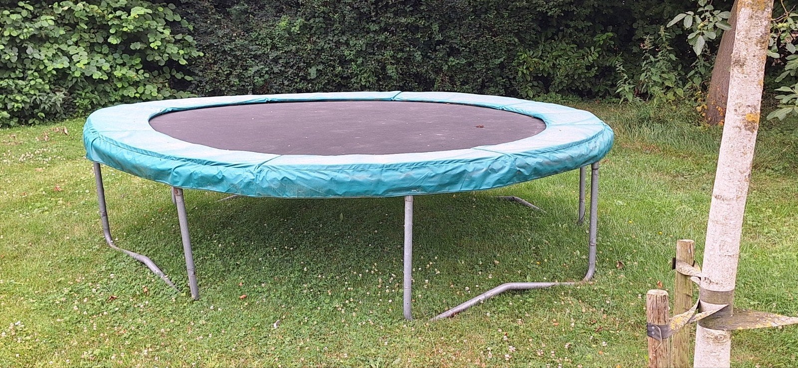 Trampoline 366cm gratis, Kinderen en Baby's, Ophalen