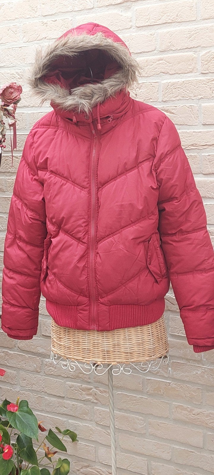 jas met kap xl  chicoree kan eraf, Kleding | Dames, Jassen | Winter, Chicoree, Maat 46/48 (XL) of groter, Ophalen of Verzenden