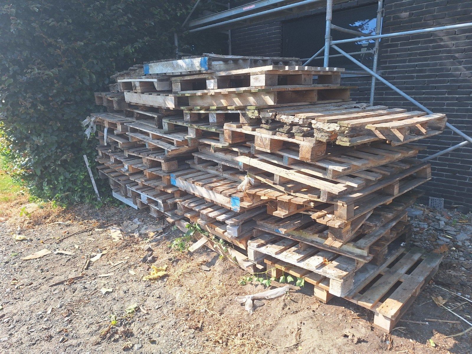 Brandhout gratis, Ophalen