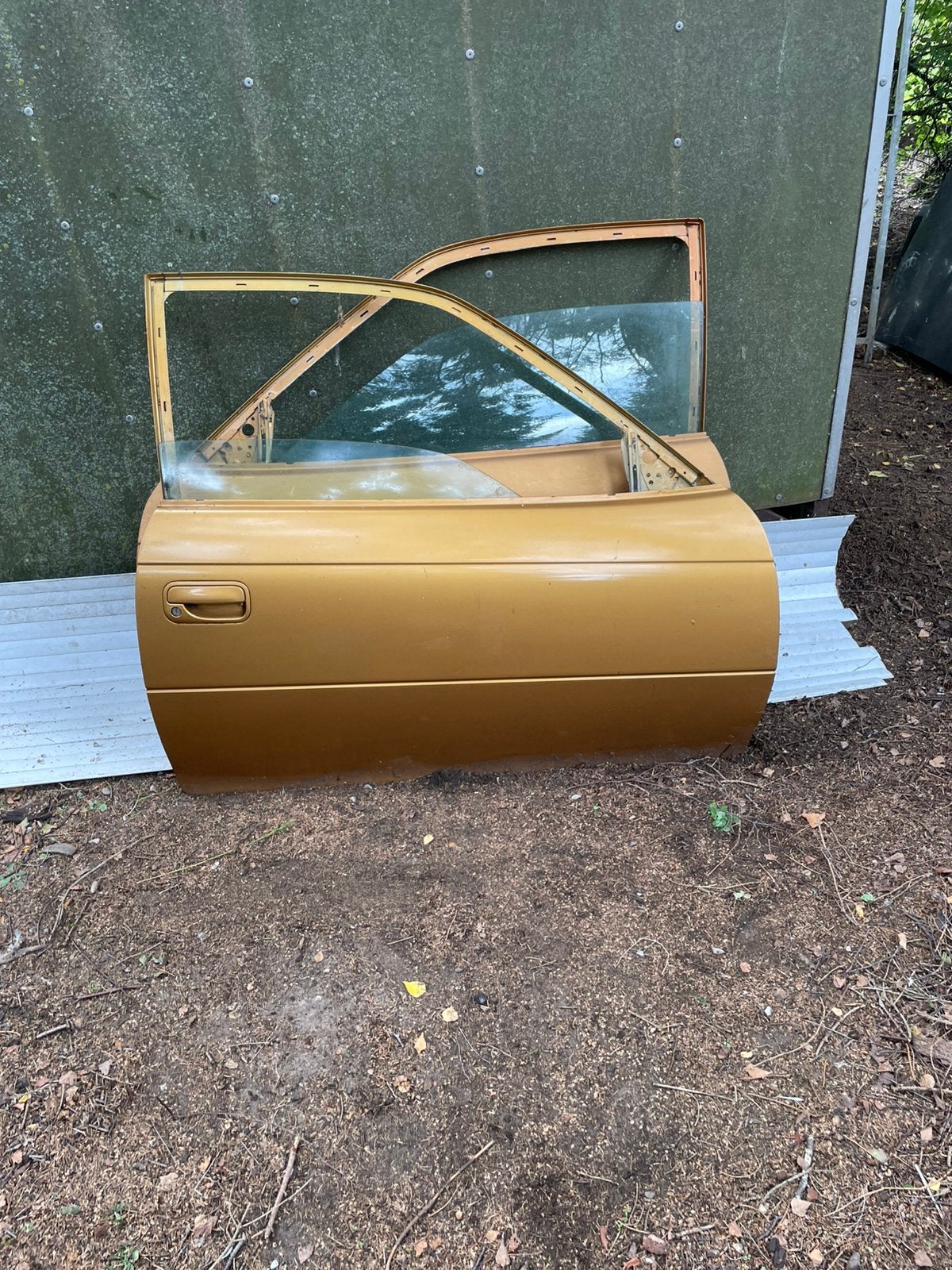 Astra f gsi deuren, Enlèvement
