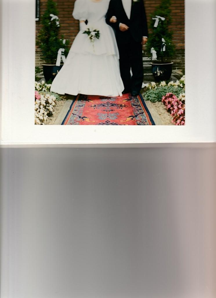 Trouwkleed, Ophalen of Verzenden, Wit