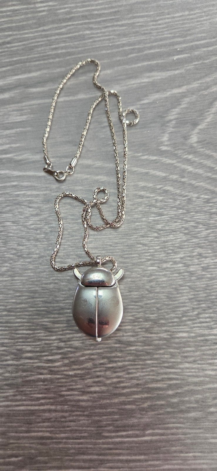 Pendentif de montre en forme de coccinelle avec chaîne, Enlèvement