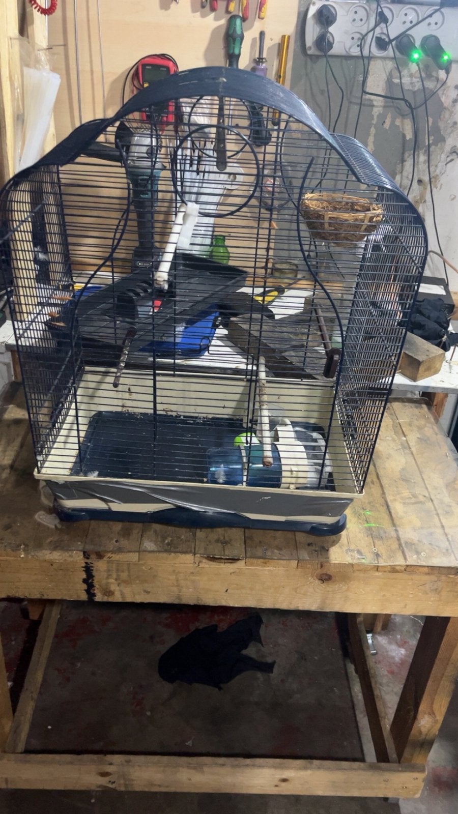 Kooi voor parkieten, Enlèvement, Utilisé, Métal, Cage à oiseaux