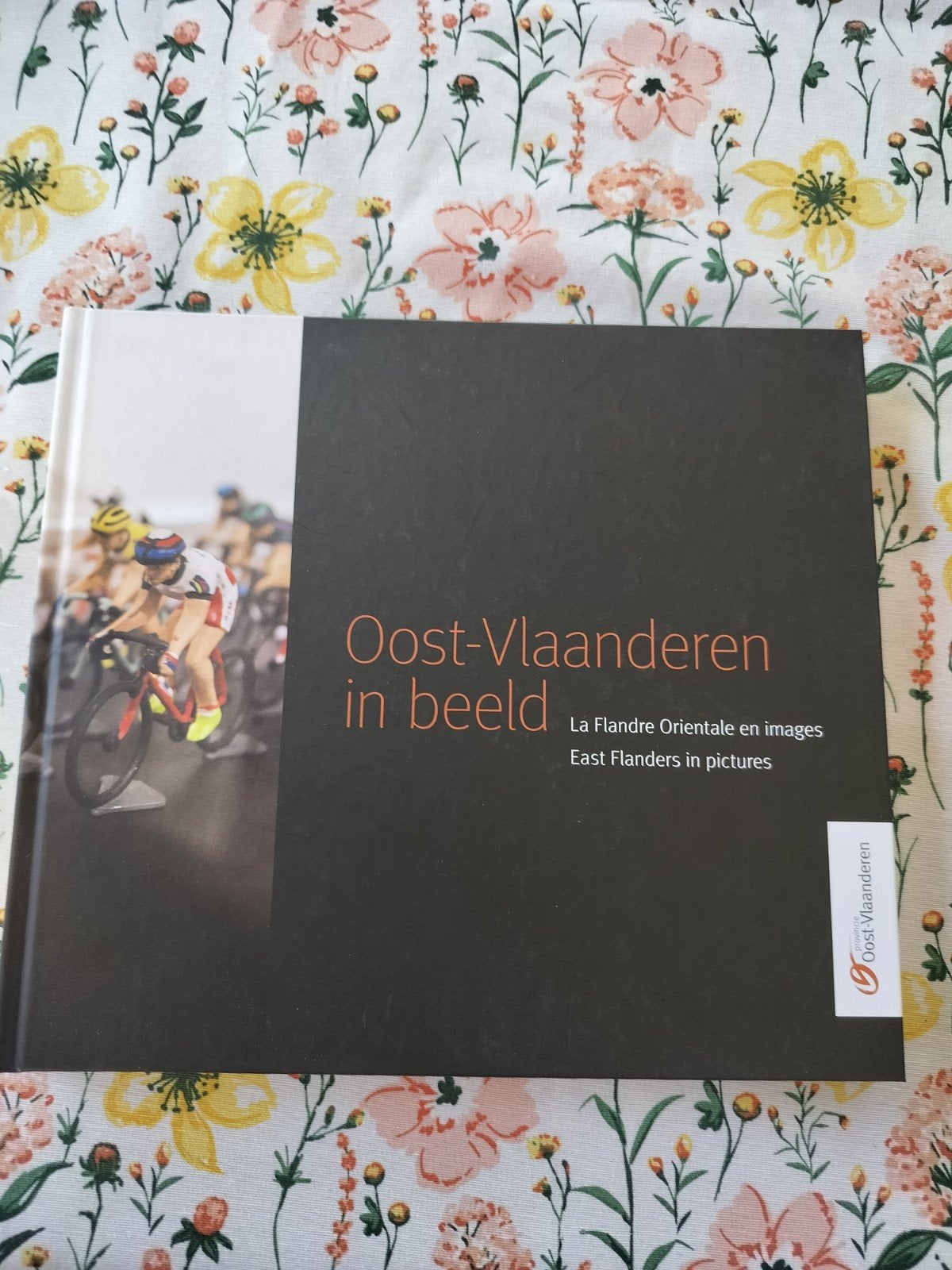 oost Vlaanderen in beeld, Ophalen of Verzenden