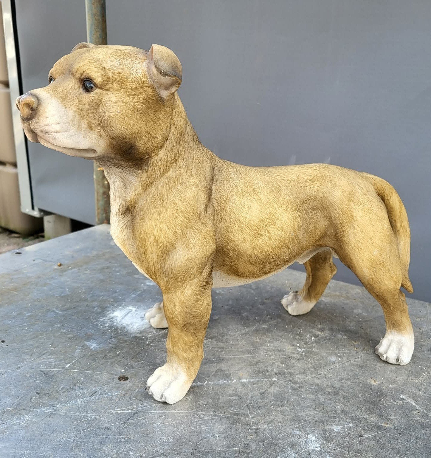 staffordshire bullterrier tuinbeeld, Tuin en Terras, Tuinbeelden, Ophalen of Verzenden, Nieuw, Kunststof, Dierenbeeld