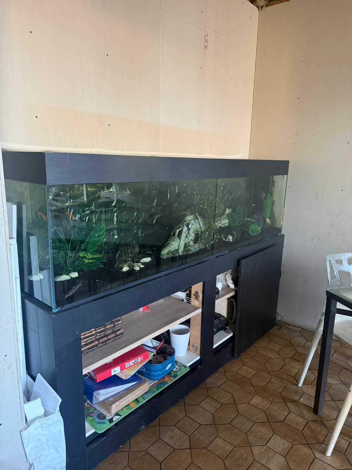Aquarium 2m met complete vissen 150€, Dieren en Toebehoren, Ophalen, Pomp, Zo goed als nieuw