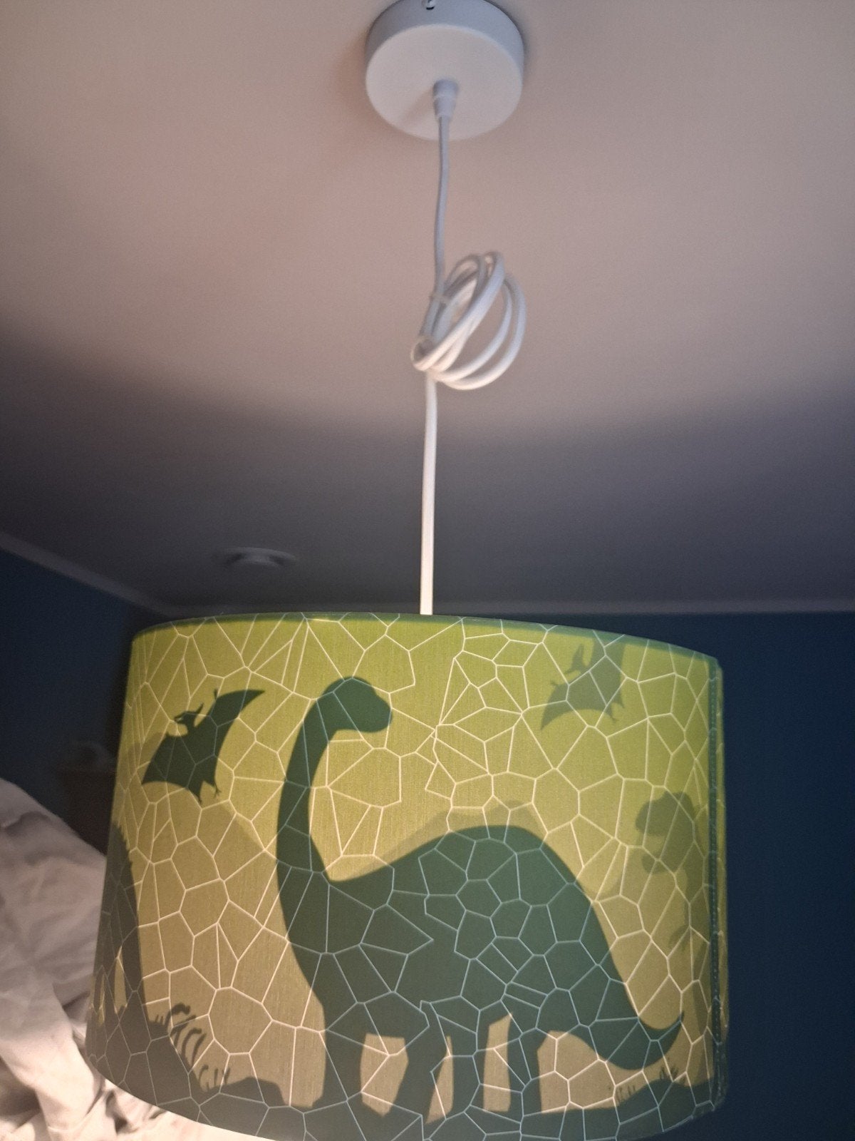 Hanglamp Dinosaurus, Enlèvement