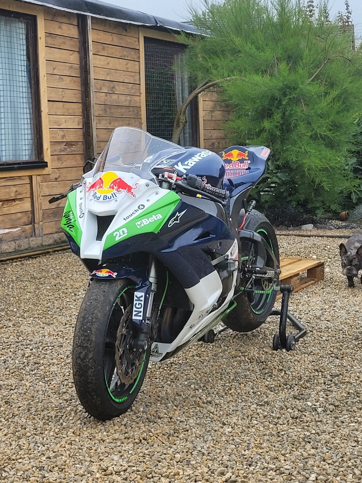Zx10r piste, Motos, Motos | Kawasaki, Entreprise