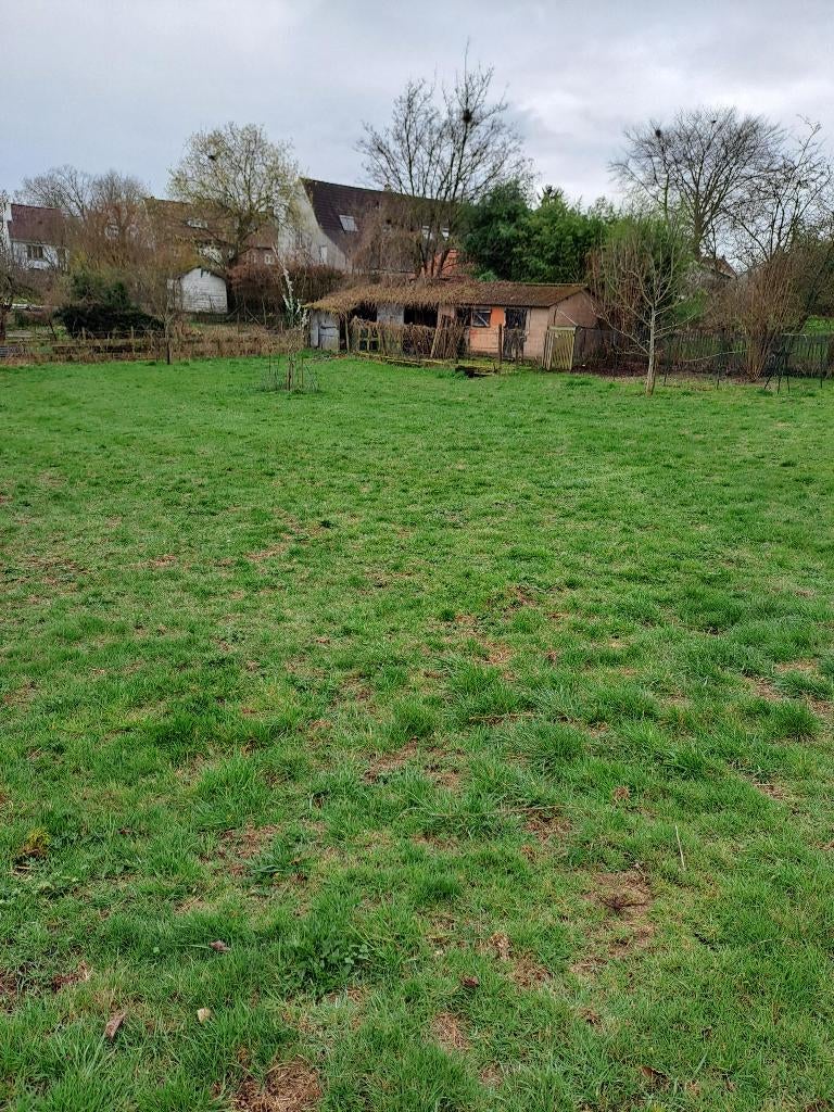 pré pour chevaux avec box Ohain, Pâturage, 2 ou 3 chevaux ou poneys