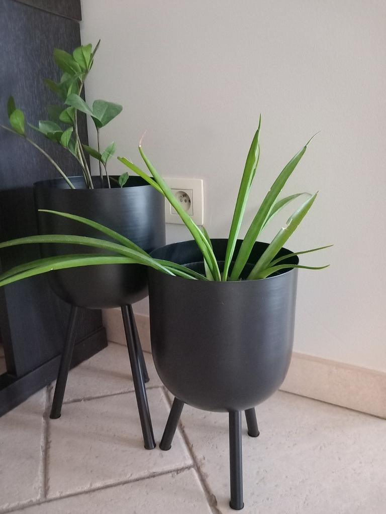 2 designbloempotten, Tuin en Terras, Ophalen