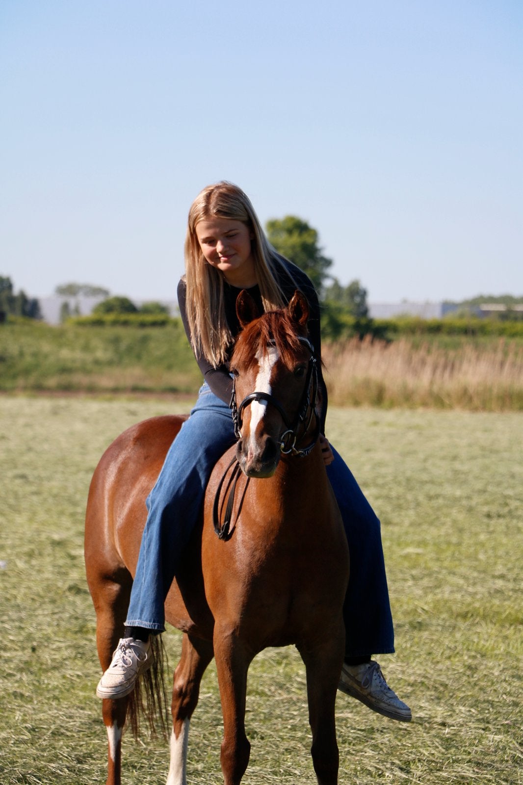 Lieve C-pony te koop!, Dieren en Toebehoren, Paarden, Merrie, Zadelmak, 7 tot 10 jaar, Ontwormd