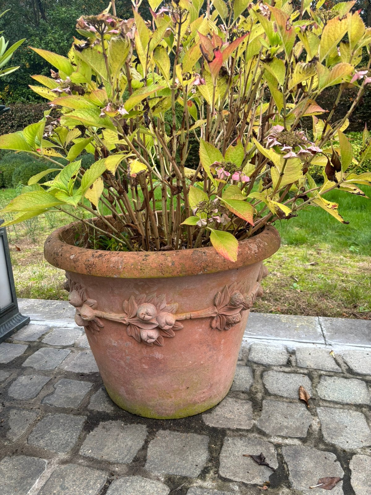 Grote originele vorst vrije terracota potten, Ophalen, Gebruikt