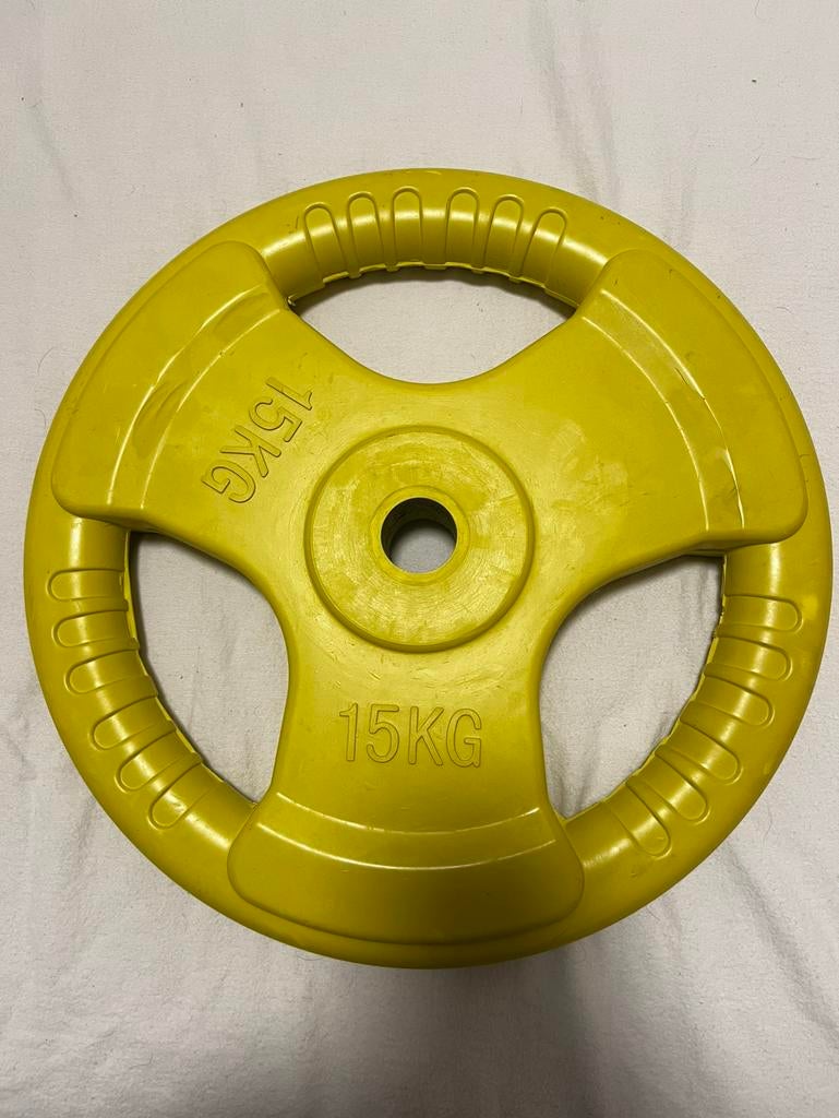 Halter schijf X2 stuks, Sport en Fitness, Ophalen, Zo goed als nieuw