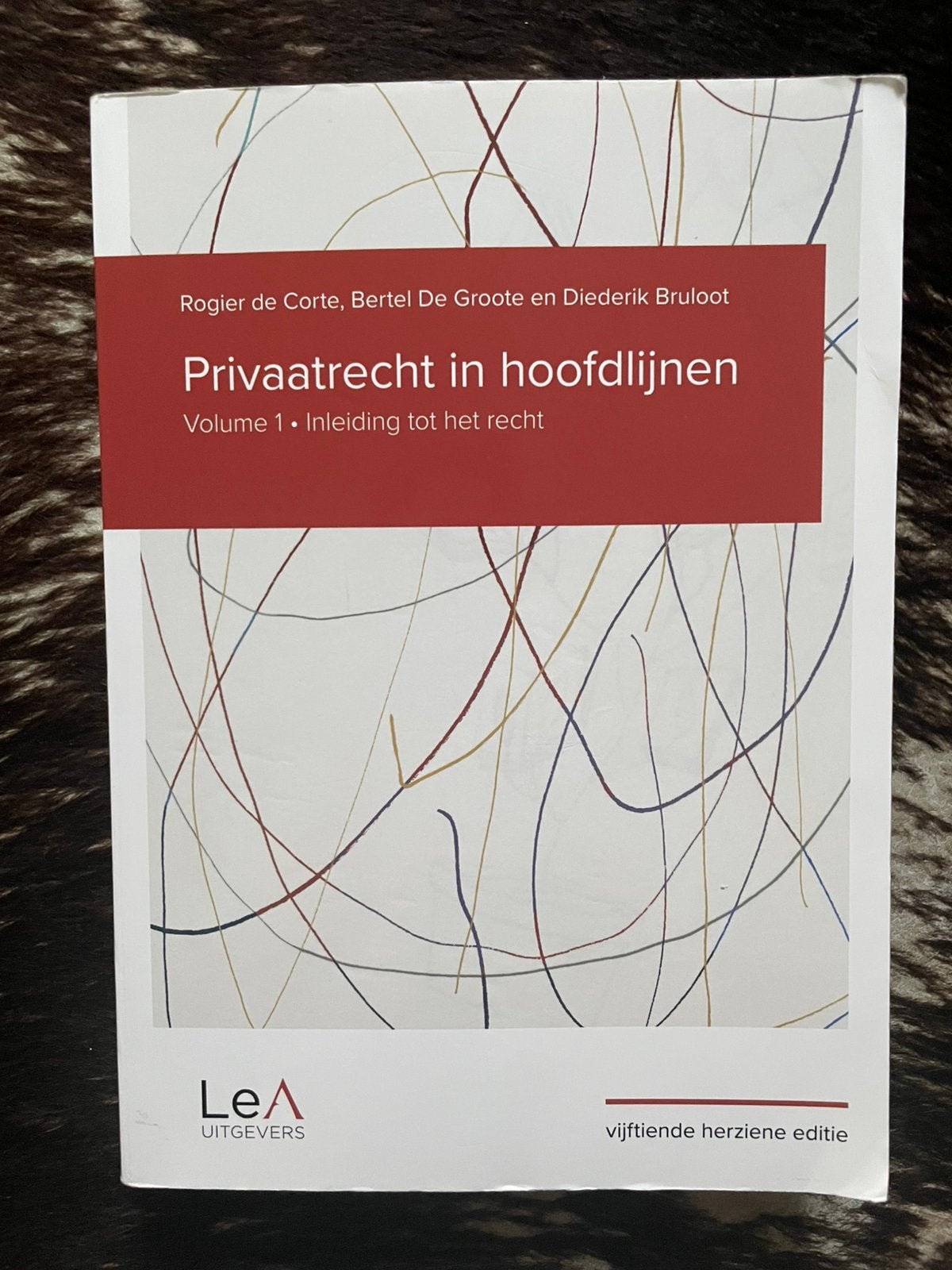 Privaatrecht in hoofdlijnen, Boeken, Ophalen of Verzenden, Gelezen, Hoger Onderwijs
