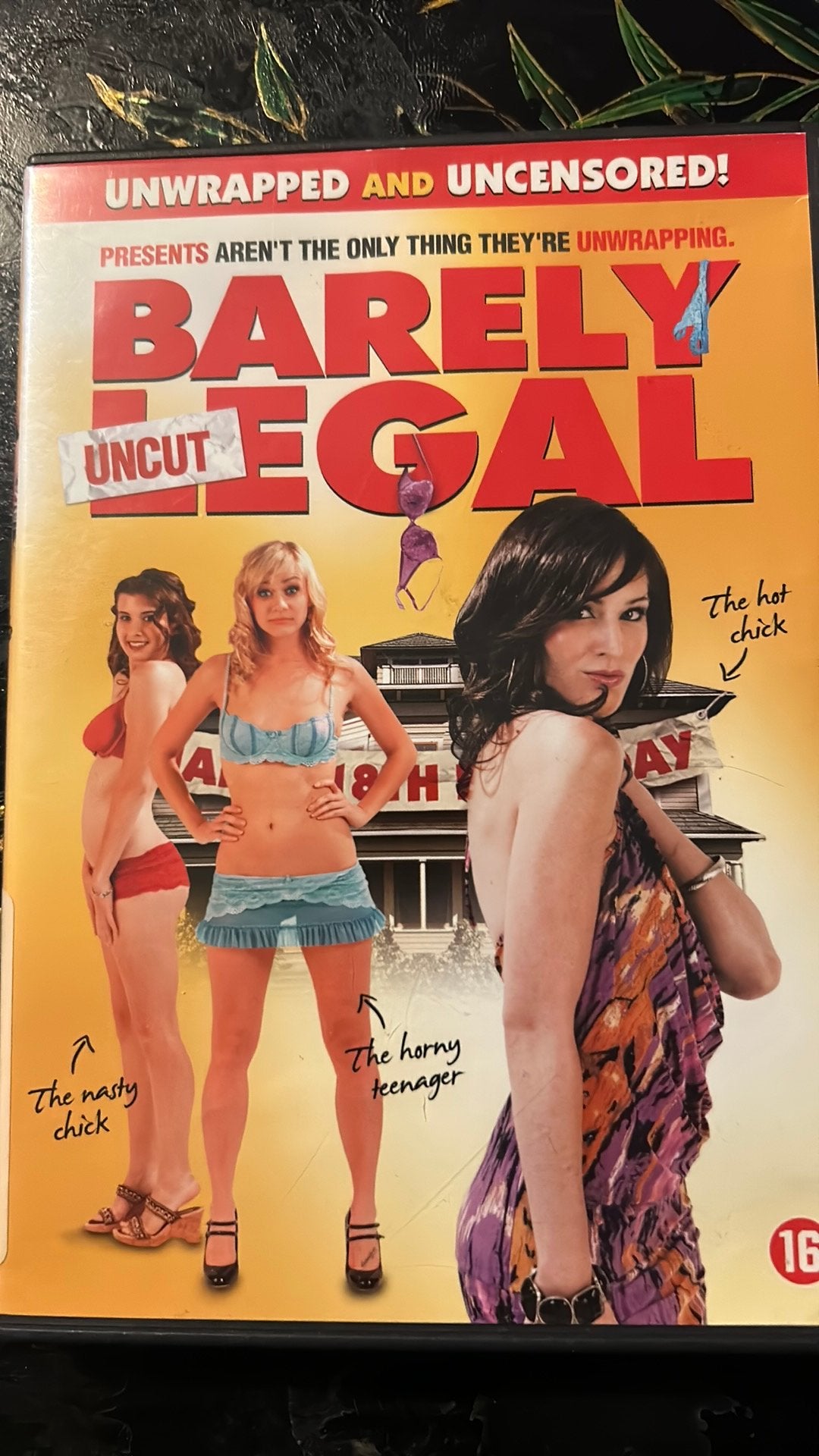 Barely Legal, CD & DVD, DVD | Comédie, Enlèvement ou Envoi, Comme neuf