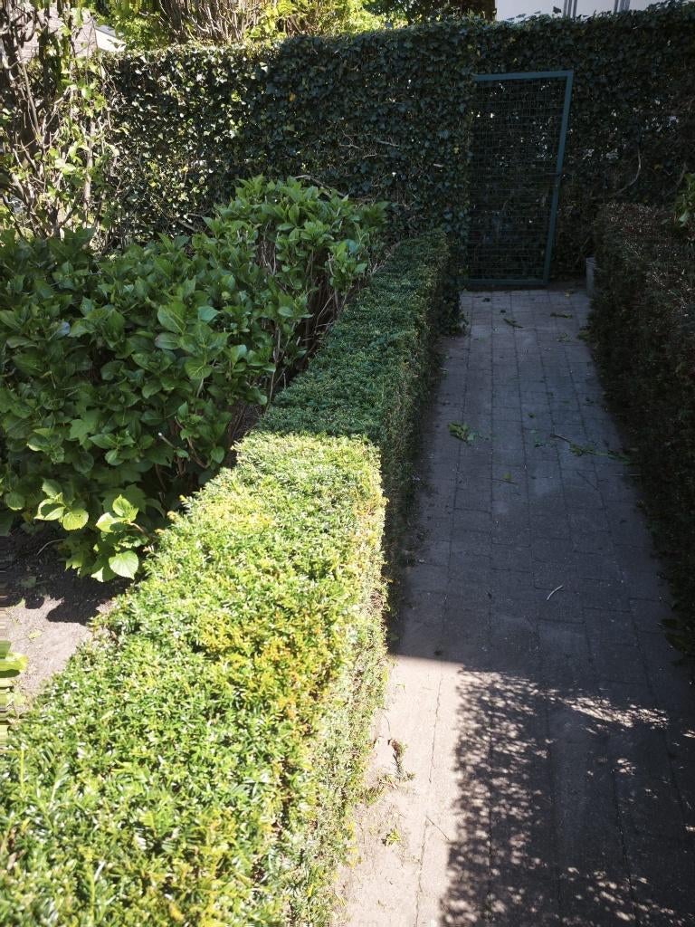 Tuinonderhoud, Ophalen, Nieuw